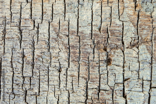 Texture of the old wooden with brown fissured rot