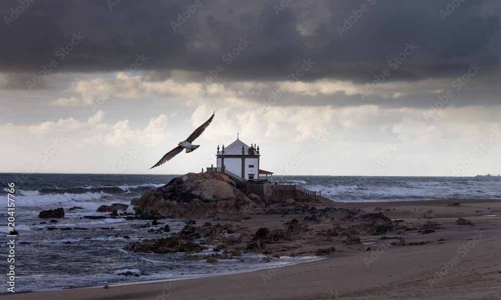 Seagull Flies Near Chapel at the Beach