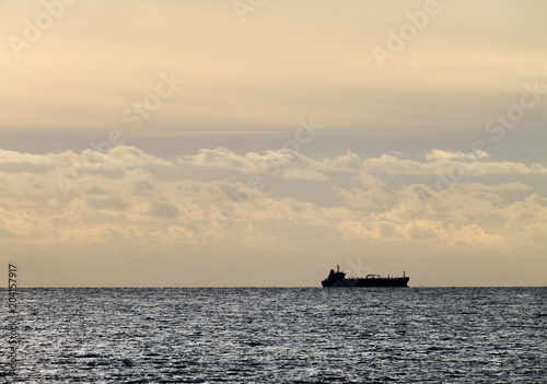 Distant Cargo Ship © Renato Martinho