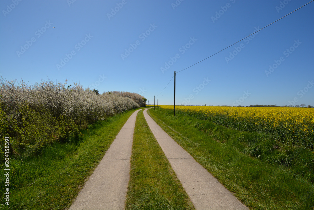 Hochuferweg Juliusruh, Drewoldke, Vitt