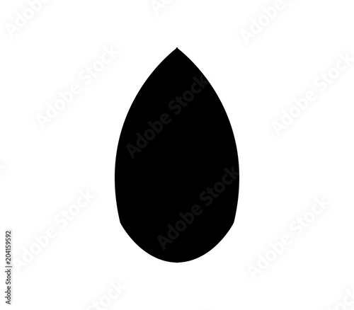 almond icon