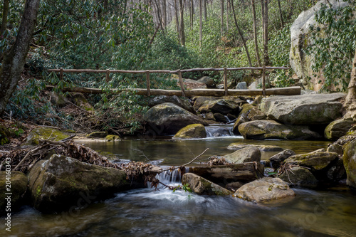 Fotografie Log bridge across a river in a valley in upstate South Carolina