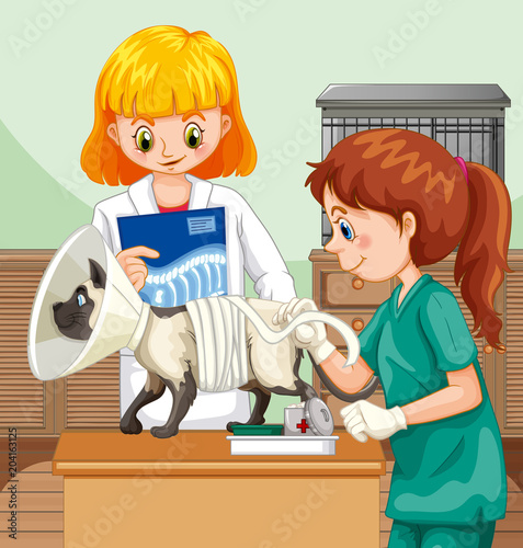 Veterinarian Doctor Helping a Cat