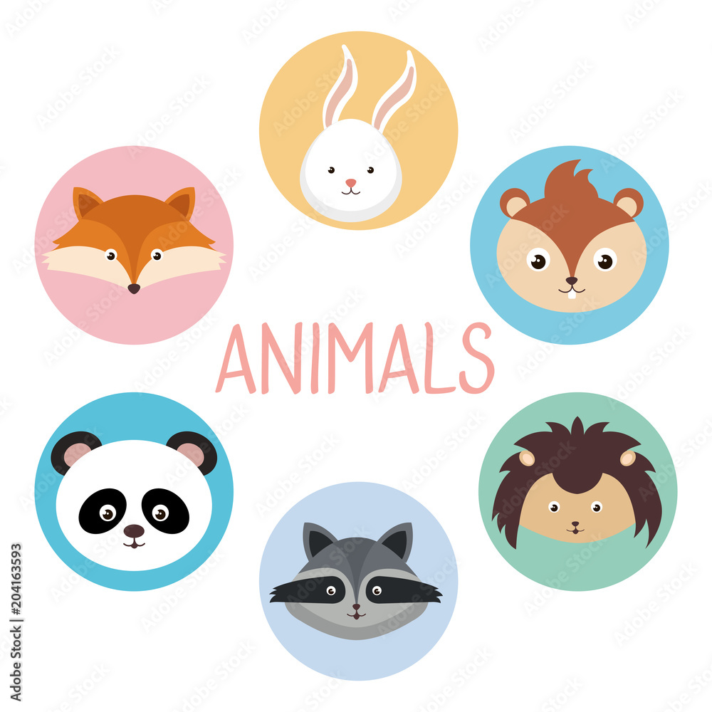Obraz premium cute group of animals heads characters vector illustration design