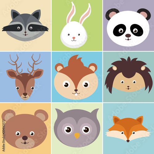 Fototapeta Naklejka Na Ścianę i Meble -  cute group of animals heads characters vector illustration design