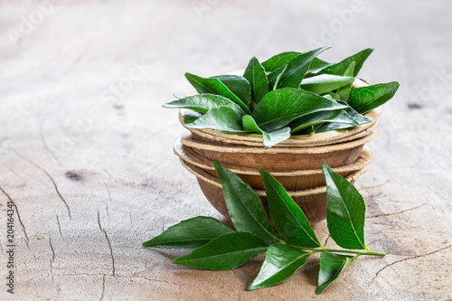 Fresh curry leaves in coconut bowl on wooden background