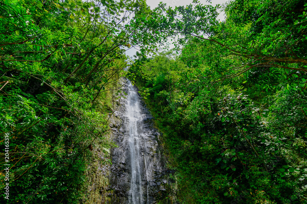 Manoa Falls waterfall emptying into a tiny pond in Hawaii Manoa Falls waterfall emptying into a tiny pond in Hawaii