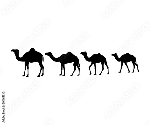 camel silhouette vector icon logo design set