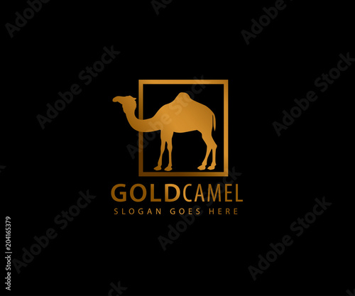 gold camel inside box vector icon logo design