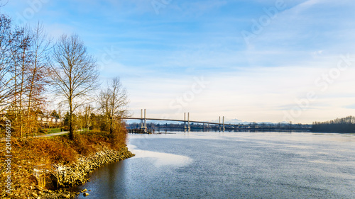 Golden Ears Bridge over the Fraser River viewed from the Trans Canada Trail near the Bonson Community in Pitt Meadows, British Columbia, Canada photo