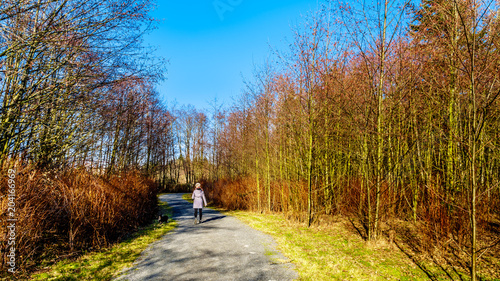 Woman walking her dog in Campbell Valley Regional Park in the Township of Langley, British Columbia, Canada