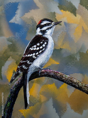 Male Downy Woodpecker