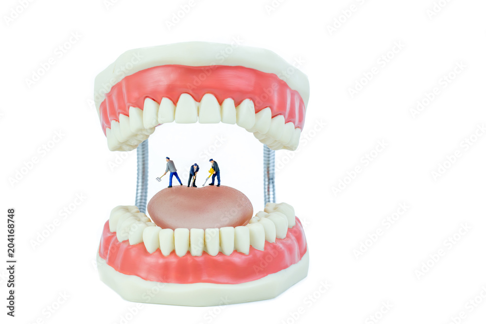 miniature people and dental model object,dental care concept miniature people and dental model object,dental care concept