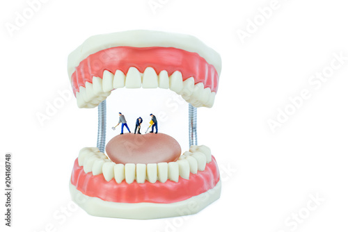 miniature people and dental model object dental care concept