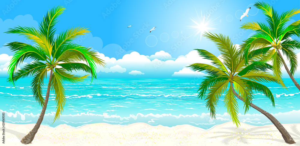 Tropical beach with palm trees.The landscape of the sea shore with palm trees 