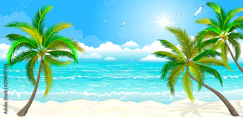 Tropical beach with palm trees.The landscape of the sea shore with palm trees 