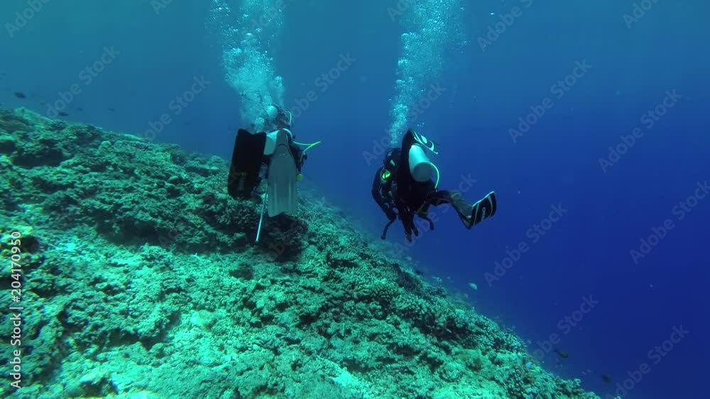 Three scuba diver sail over the slope of a coral reef in the blue water, Indian Ocean, Fuvahmulah island, Maldives
Three scuba diver sail over the slope of a coral reef in the blue water, Indian Ocean, Fuvahmulah island, Maldives