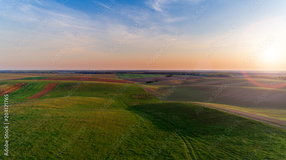 the green field is at sunset shot with the drone