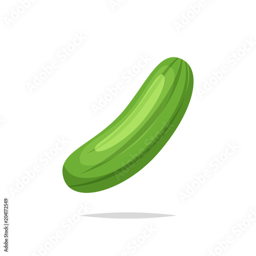Cucumber vector isolated