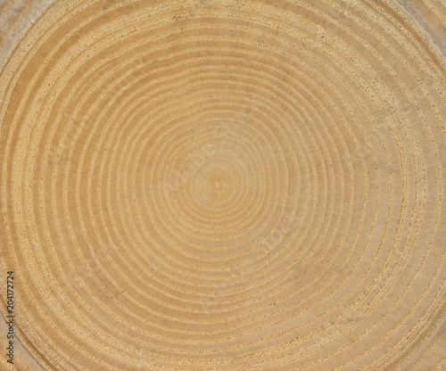 Growth Rings Bckground