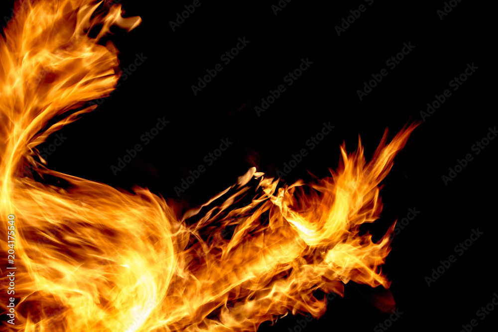 Fototapeta premium Fire