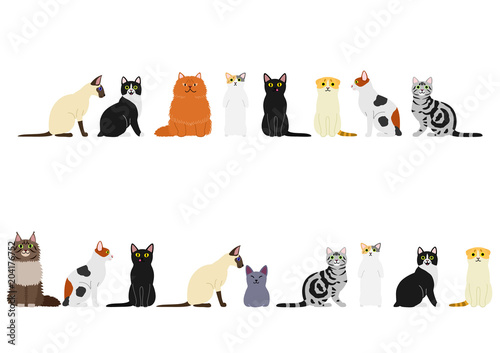 various cats border set