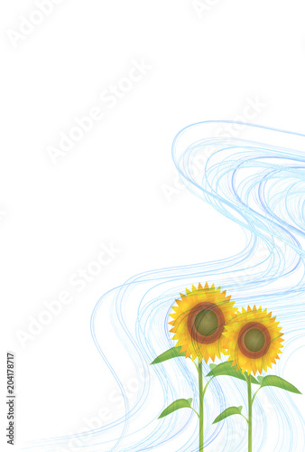Fototapeta Naklejka Na Ścianę i Meble -  ひまわり　夏　暑中見舞い　背景