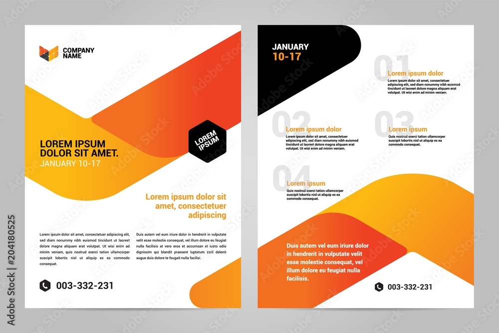 Fototapeta premium Brochure Layout template, cover design background and annual reports.