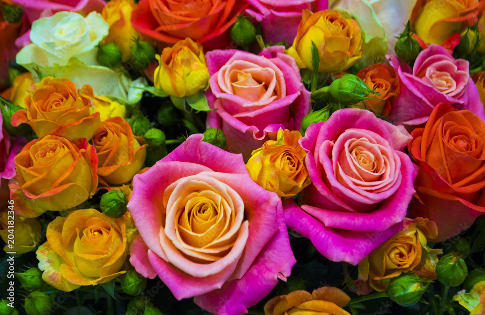 Fototapeta premium floral background of roses