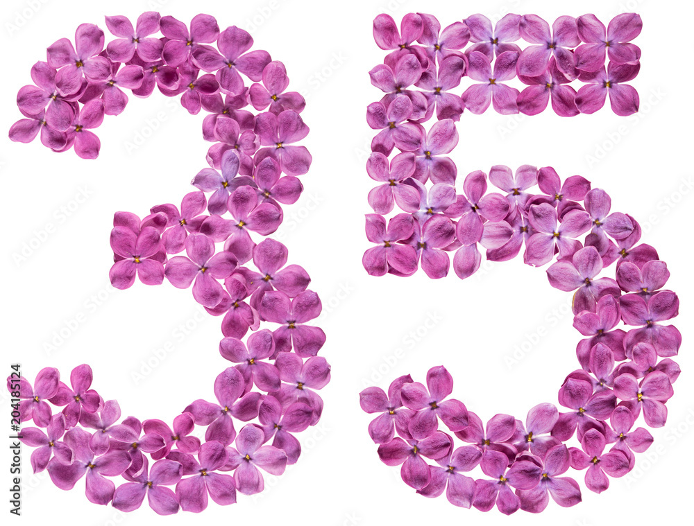Arabic numeral 35, thirty five, from flowers of lilac, isolated on white background