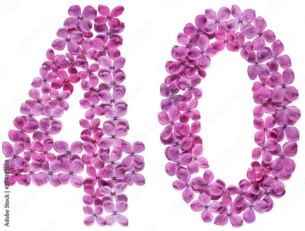 Arabic numeral 40, forty, from flowers of lilac, isolated on white background Arabic numeral 40, forty, from flowers of lilac, isolated on white background