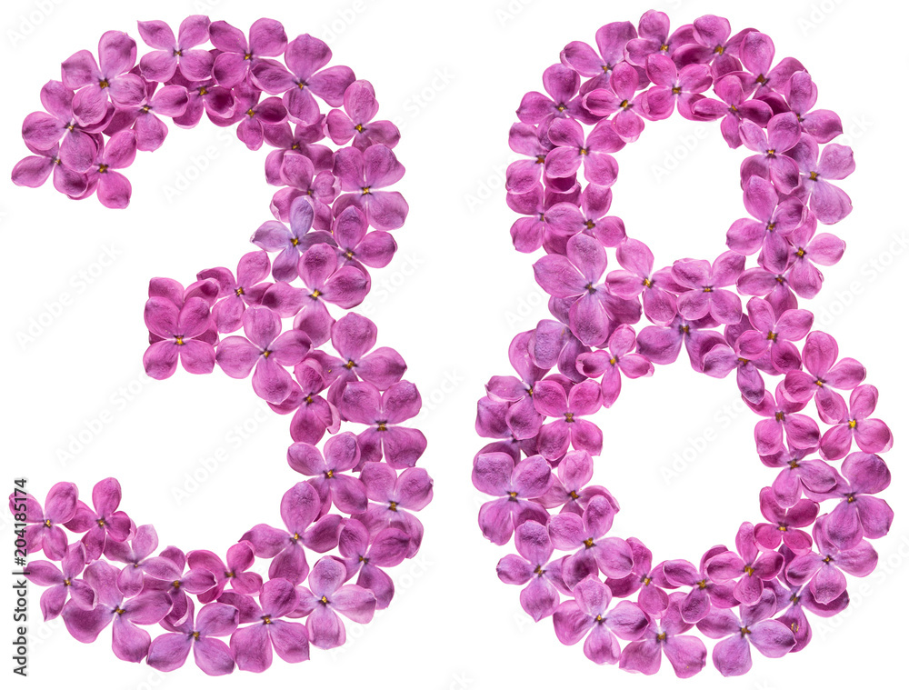 Arabic numeral 38, thirty eight, from flowers of lilac, isolated on white background