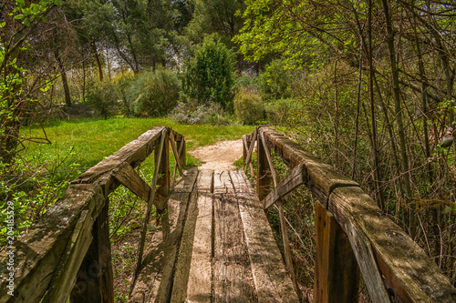 Wooden bridge in a garden of Alcal   de Henares on a spring morning.