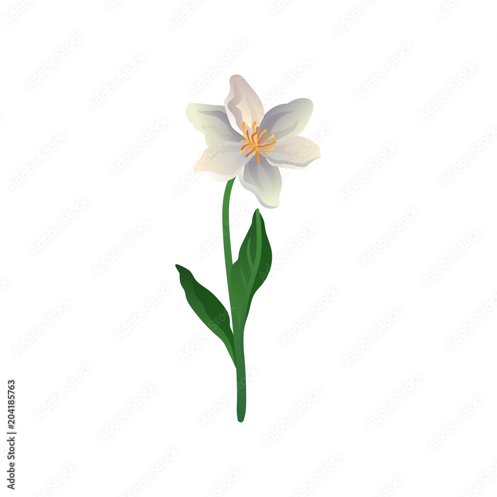 Colorful vector icon of cute spring flower. Lily with petals in gradient colors. Element for botanical book, postcard or textile