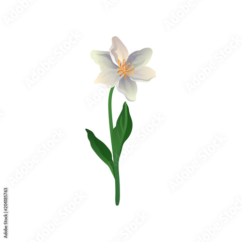 Colorful vector icon of cute spring flower. Lily with petals in gradient colors. Element for botanical book, postcard or textile