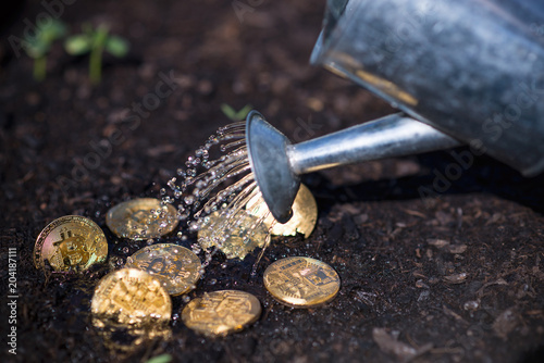 Bitcoin Growing Watering photo