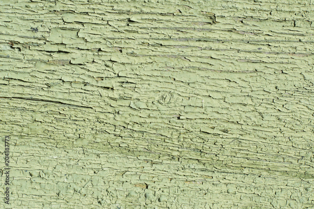 Fototapeta premium old wooden green background. 
