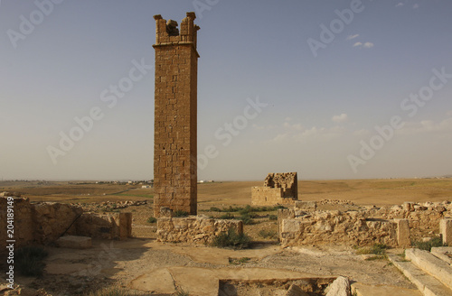 Pillars on which the monks-devotees prayed, next to Umm ar Rasa, Jordan