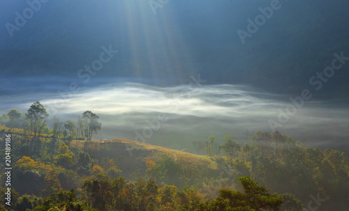 Fog in nature Moving in the mountains