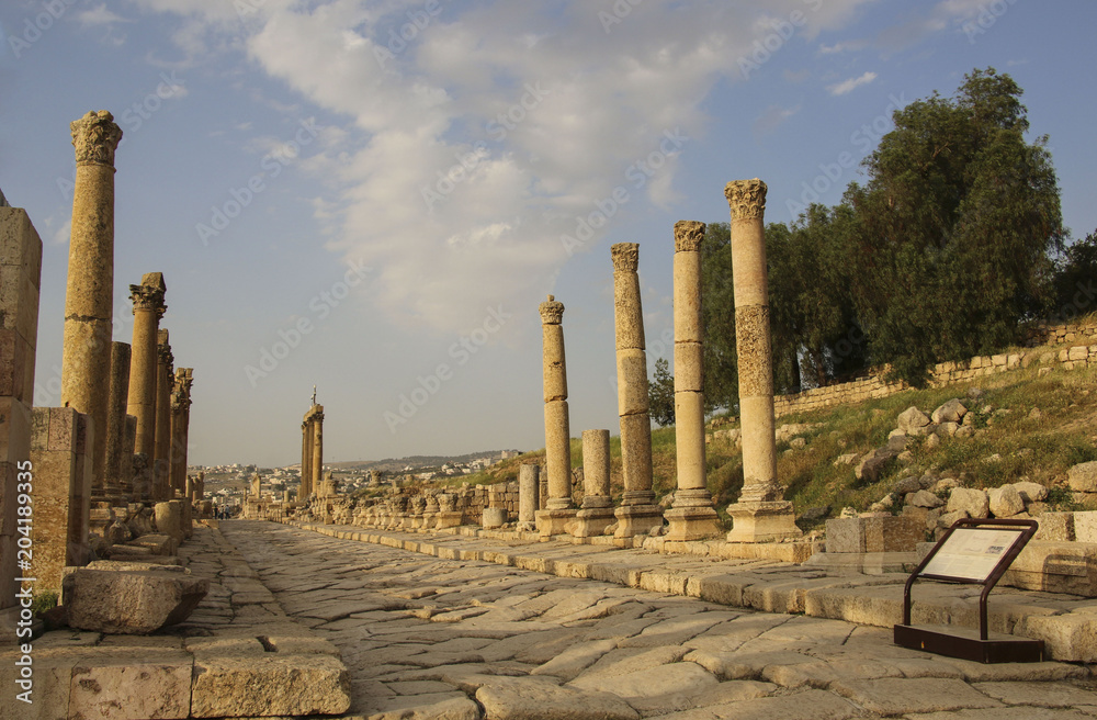 Columns of the Cardo Maximus (The Colonnaded Street), Ancient Roman city of Gerasa of Antiquity, modern Jerash, Jordan