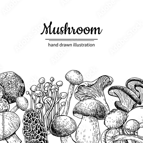Mushroom hand drawn vector frame. Isolated Sketch organic food d