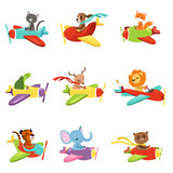 Flat vector set with cute animals flying in colorful airplanes. Cartoon characters of domestic and wild creatures. Design for children's t-shirt print, book or postcard