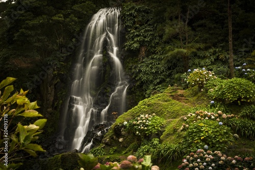 Waterfall, in front Hortensias (Hydrangea), Parque Natural Da Ribeira Dos Caldeiroes, Achada, Sao Miguel, Azores, Portugal, Europe photo
