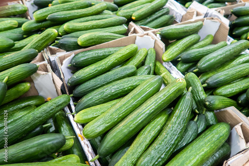 Cucumbers at the market
