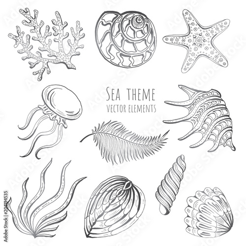 Set of seashells, starfish and jellyfish on white background for design.