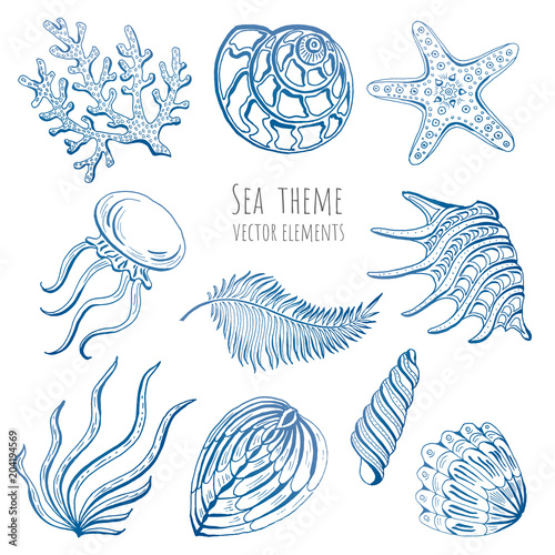 Set of seashells, starfish and jellyfish on white background for design.