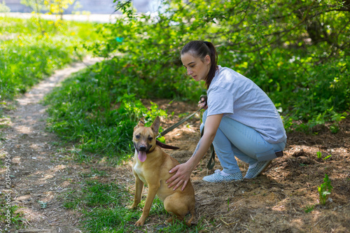 homeless dog in an animal shelter © jyliagorbacheva