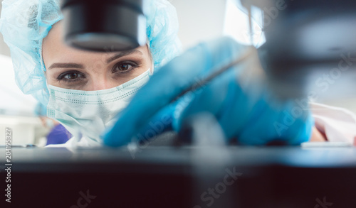 Doctor or lab technician adjusting needle to fertilize a human egg under the microscope photo