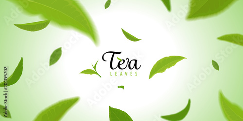 Flying green tea leaves on green background template. Vector set of element for advertising, packaging design of tea products.