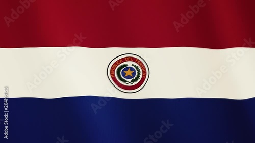 Paraguay flag waving animation. Full Screen. Symbol of the country. photo